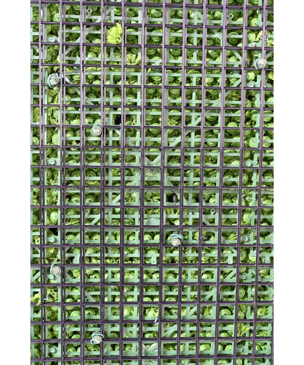 Kunstlik BERBERIS ROHELINE SEIN