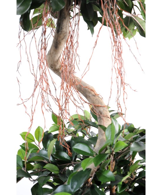 Artificial ficus SPIRAL 2 BALLS