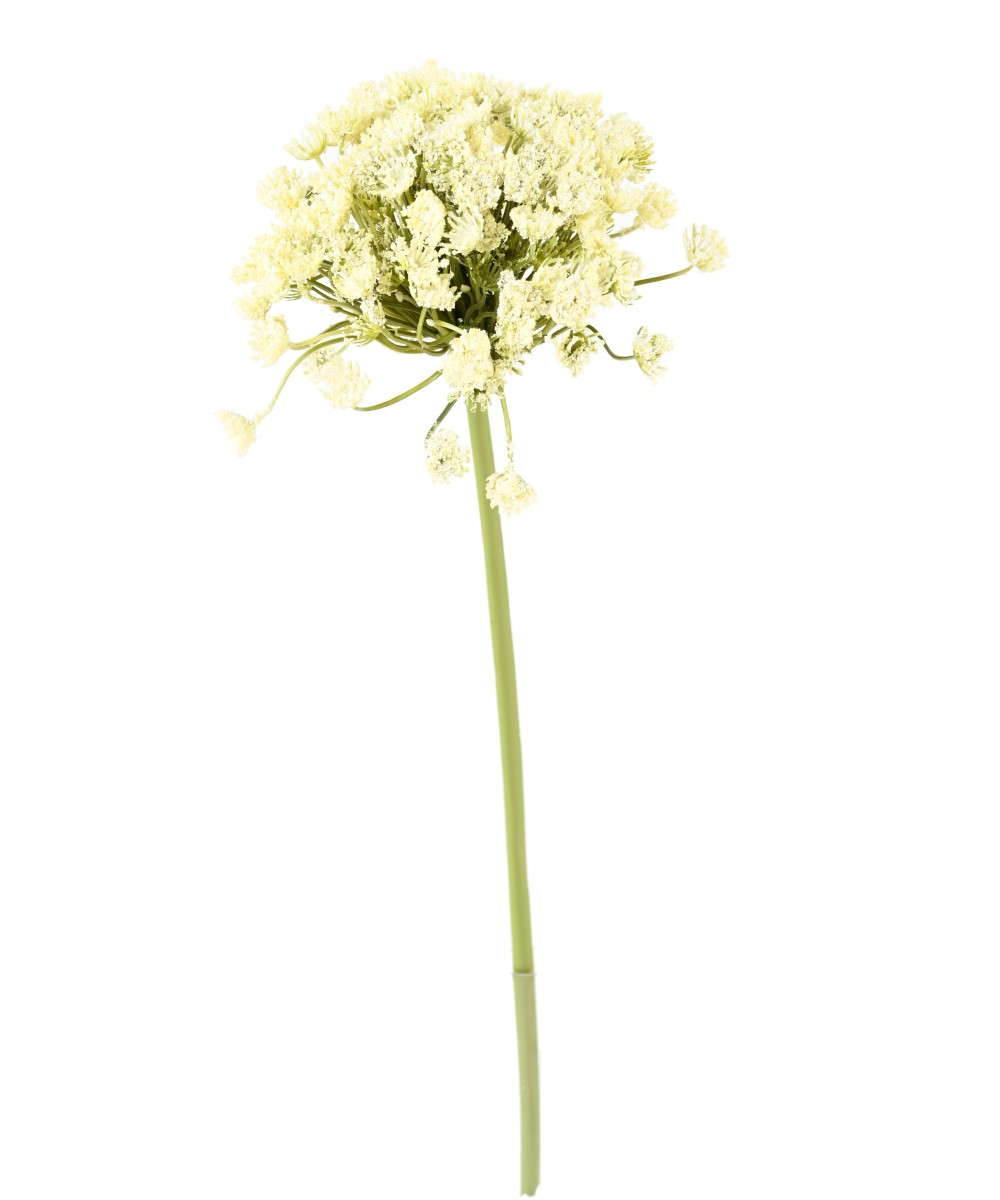 Kunstlik Daucus carota