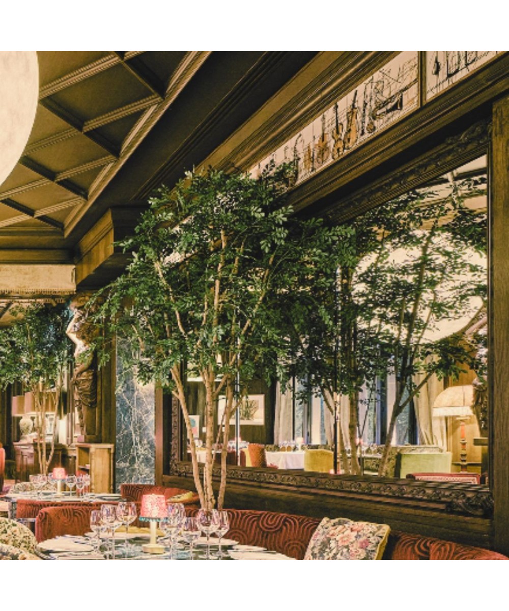 Kunstlik BUCIDA puu 330 LUXURY FR - Tulekindel