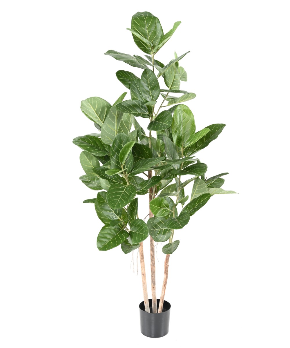 Artificial FICUS AUDREY