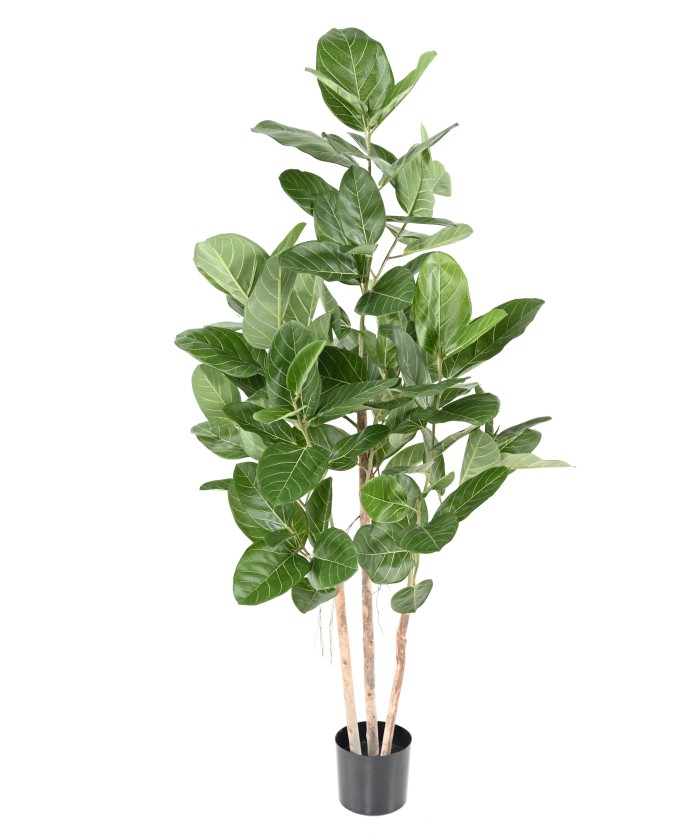 Artificial FICUS AUDREY