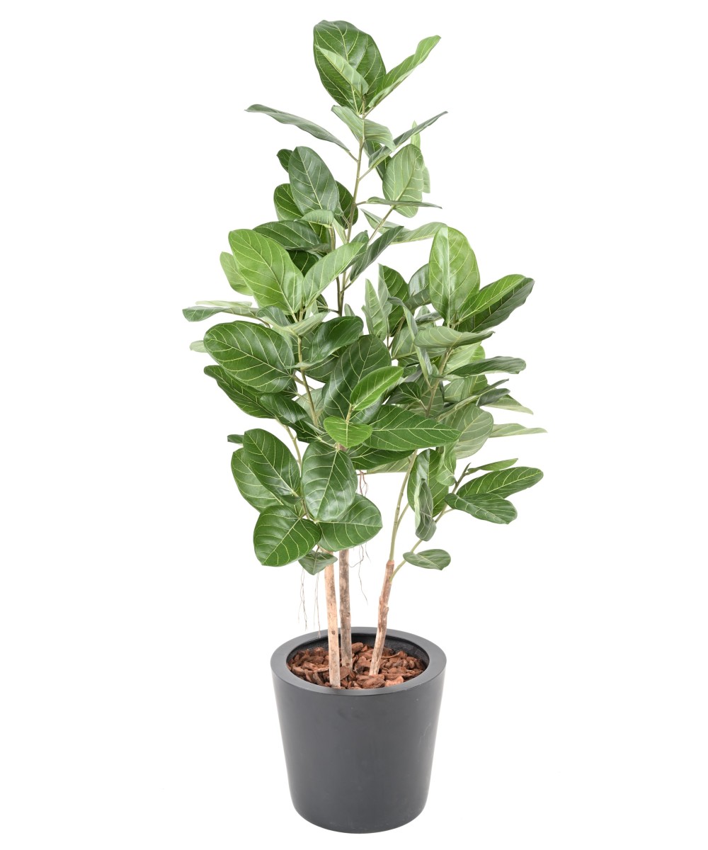 Artificial FICUS AUDREY