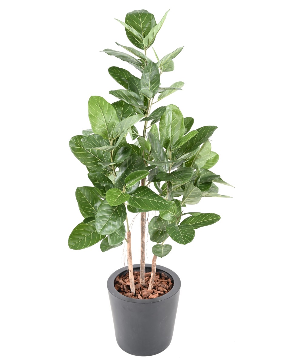 Artificial FICUS AUDREY