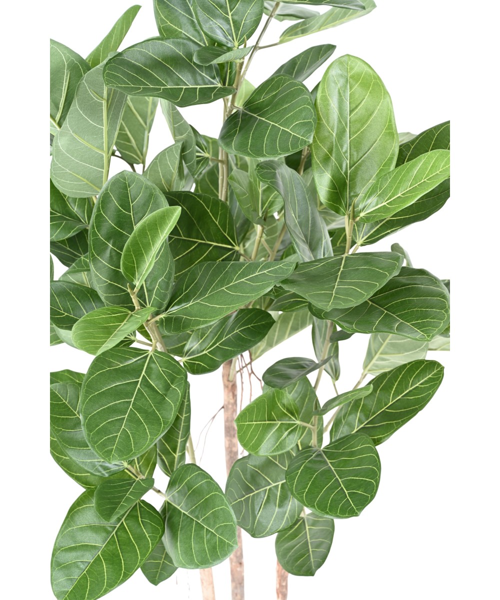 Artificial FICUS AUDREY