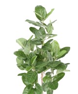 Artificial FICUS AUDREY