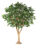 Artificial OAK T 490