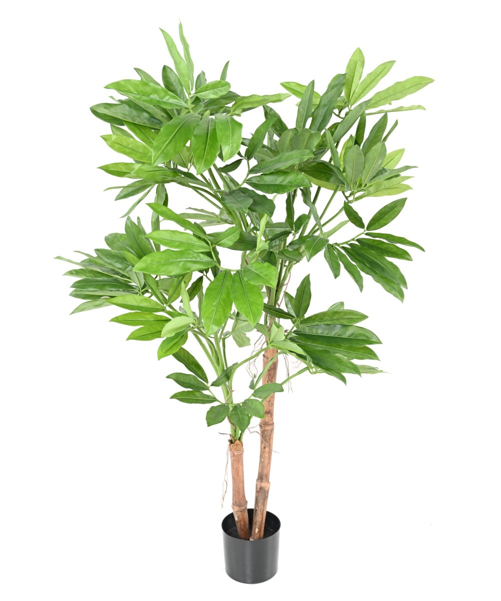 Kunstfilodendron GOELDII (Lõbus kukkel)