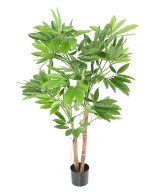 Kunstfilodendron GOELDII (Lõbus kukkel)