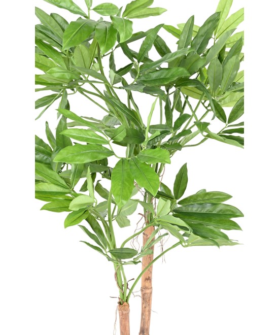 Kunstfilodendron GOELDII (Lõbus kukkel)