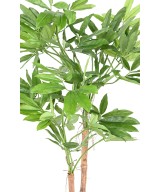 Kunstfilodendron GOELDII (Lõbus kukkel)