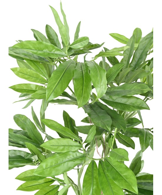 Kunstfilodendron GOELDII (Lõbus kukkel)