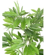 Kunstfilodendron GOELDII (Lõbus kukkel)