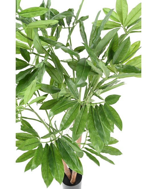Kunstfilodendron GOELDII (Lõbus kukkel)