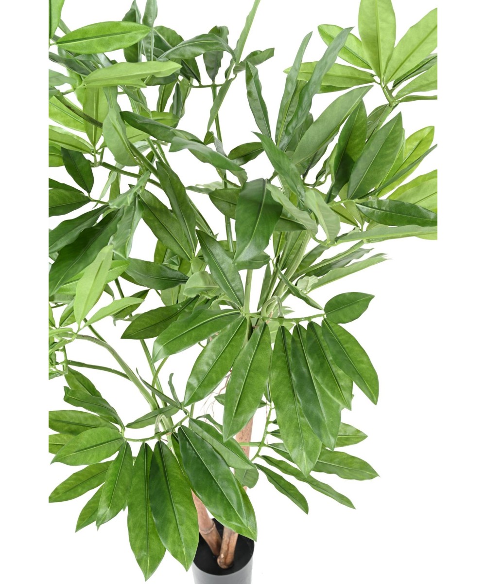 Kunstfilodendron GOELDII (Lõbus kukkel)