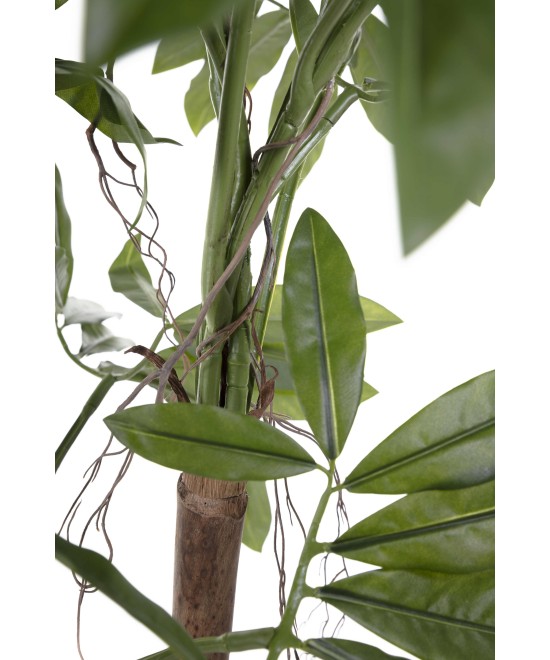 Kunstfilodendron GOELDII (Lõbus kukkel)