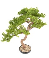 Kunstlik bonsai mänd 90