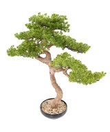 Kunstlik bonsai mänd 90
