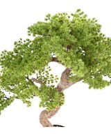 Kunstlik bonsai mänd 90