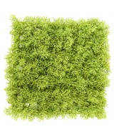 Artificial moss wall panel PE 24 24