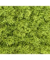 Artificial moss wall panel PE 24 24