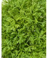 Artificial MOSS PEBBLE *3 PE