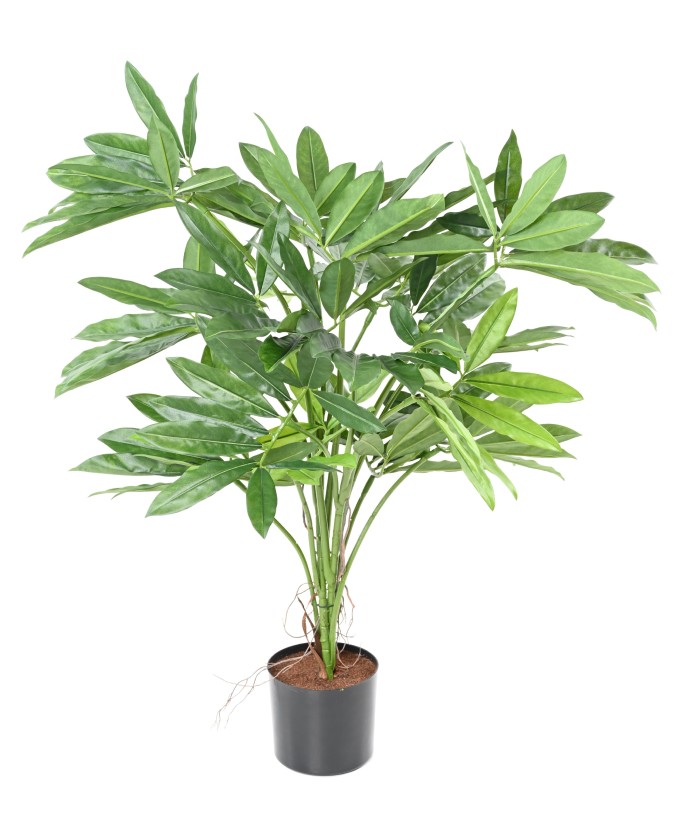 Kunstfilodendron GOELDII (Lõbus kukkel)