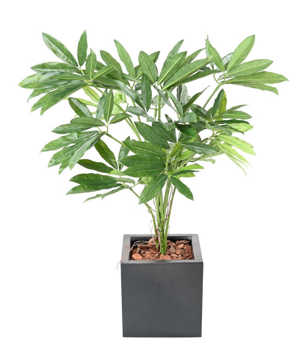 Kunstfilodendron GOELDII (Lõbus kukkel)