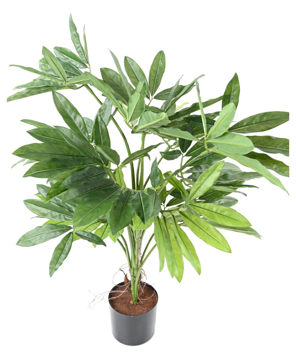 Kunstfilodendron GOELDII (Lõbus kukkel)