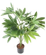 Kunstfilodendron GOELDII (Lõbus kukkel)