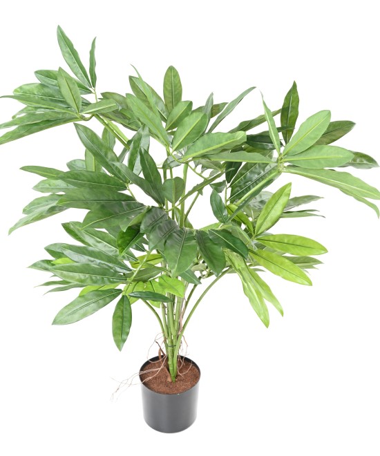 Kunstfilodendron GOELDII (Lõbus kukkel)
