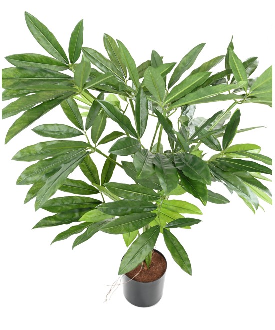 Kunstfilodendron GOELDII (Lõbus kukkel)