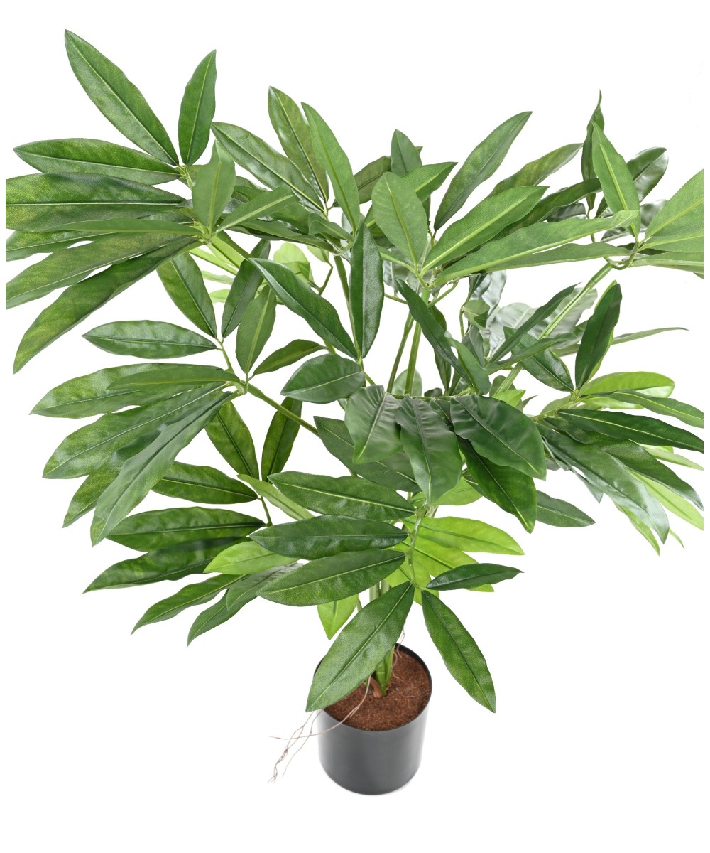 Kunstfilodendron GOELDII (Lõbus kukkel)