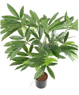 Kunstfilodendron GOELDII (Lõbus kukkel)