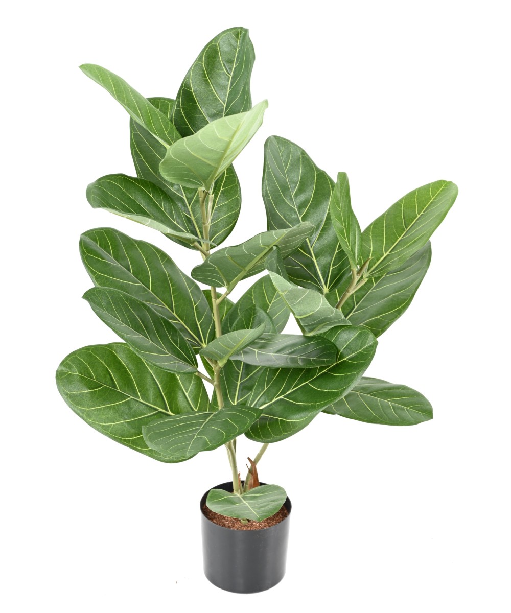 Artificial FICUS AUDREY POT
