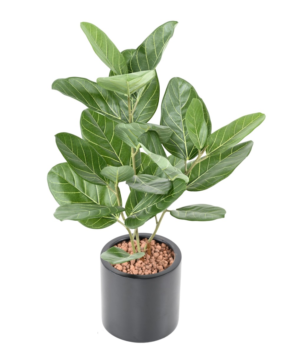 Artificial FICUS AUDREY POT