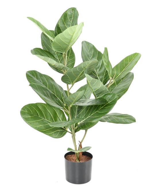 Artificial FICUS AUDREY POT