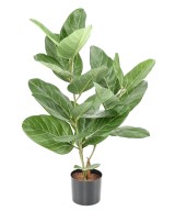 Artificial FICUS AUDREY POT