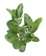 Artificial FICUS AUDREY POT