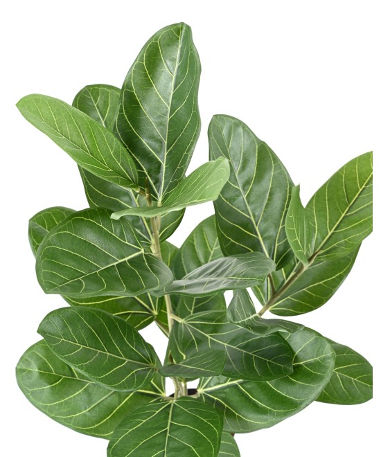 Artificial FICUS AUDREY POT