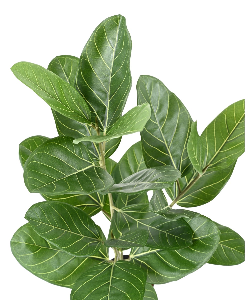 Artificial FICUS AUDREY POT