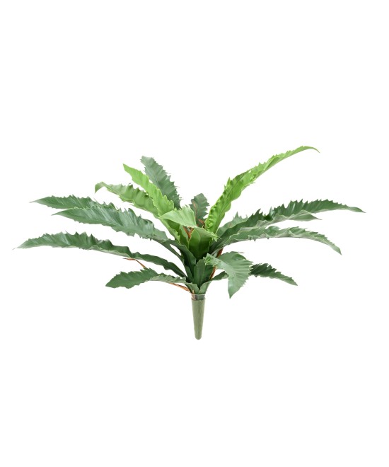 Kunstaspleenium dakila