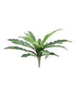 Kunstaspleenium dakila