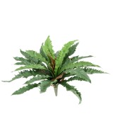 Kunstaspleenium dakila
