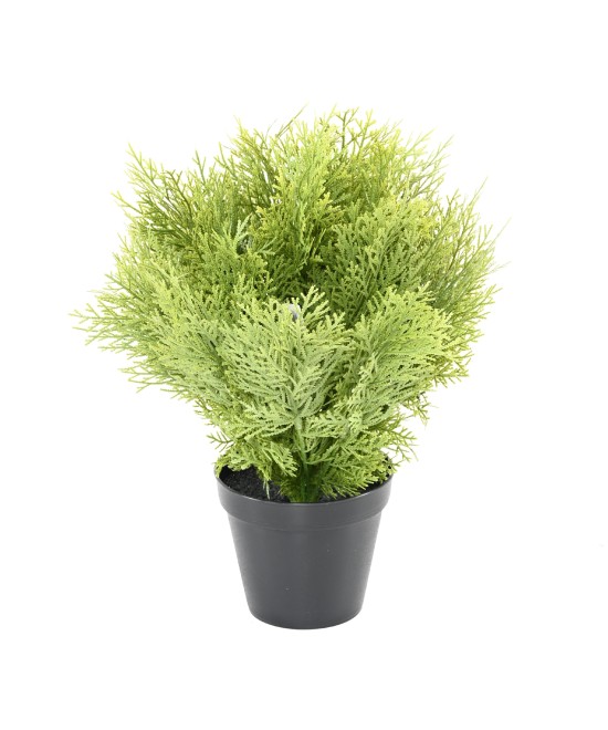 Artificial Cypress (juniperus vj) round 35