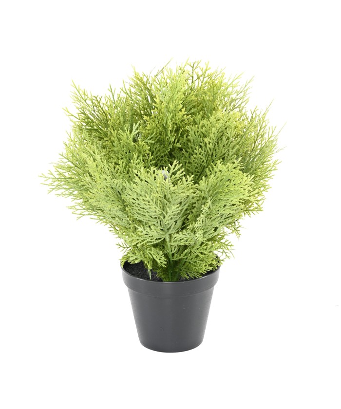 Kunstküpress (juniperus vj) ümmargune 35
