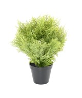 Artificial Cypress (juniperus vj) round 35
