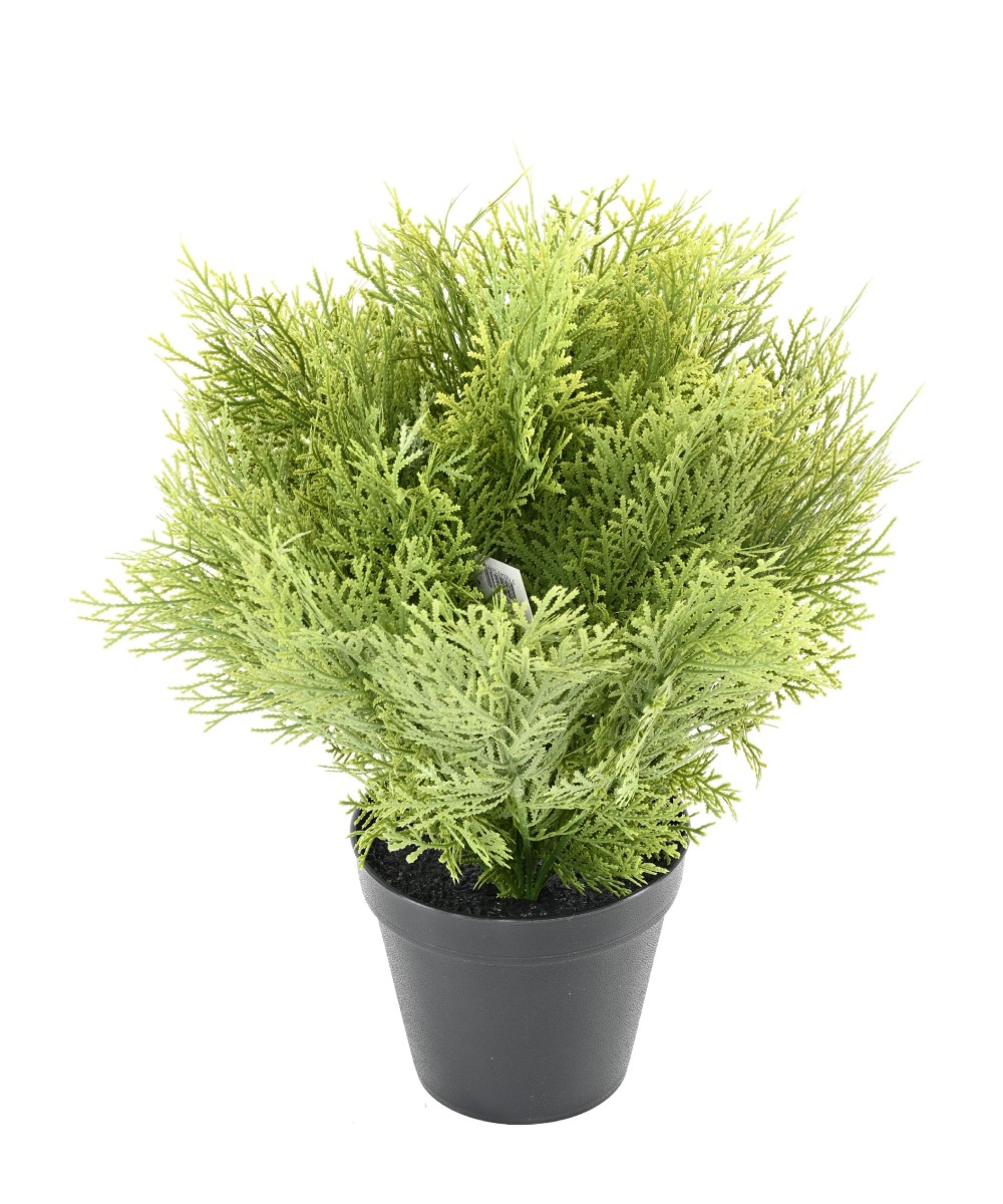 Kunstküpress (juniperus vj) ümmargune 35