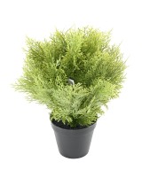 Kunstküpress (juniperus vj) ümmargune 35