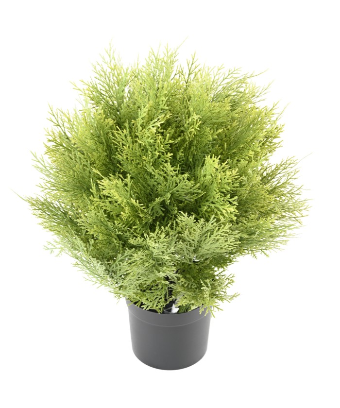 Kunstküpress (juniperus vj) ümmargune 45